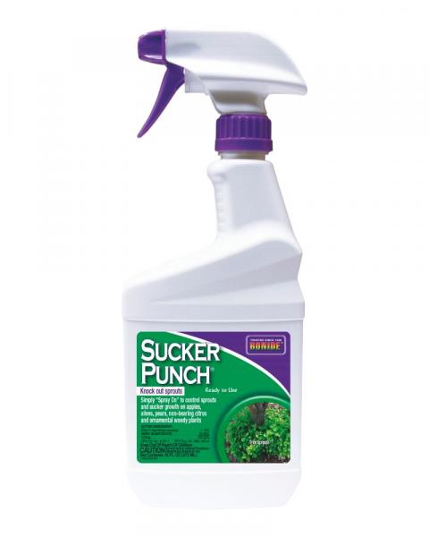 Bonide Sucker Punch 32oz Ready To Use