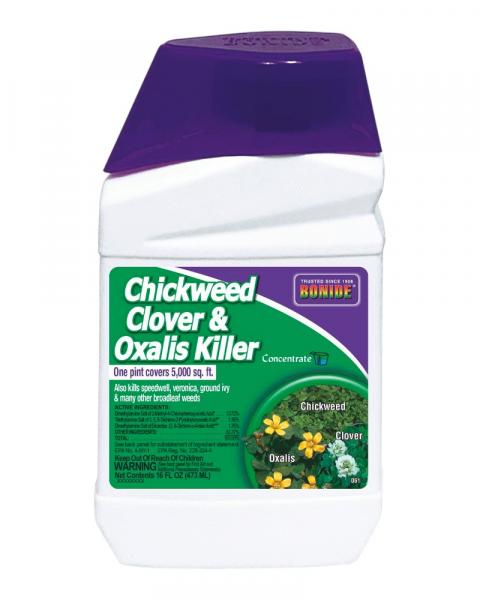 Bonide Chickweed Clover & Oxalis Killer 16oz Concentrate