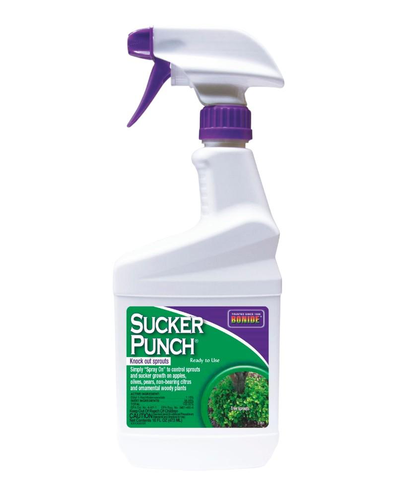 Bonide Sucker Punch 32oz Ready To Use