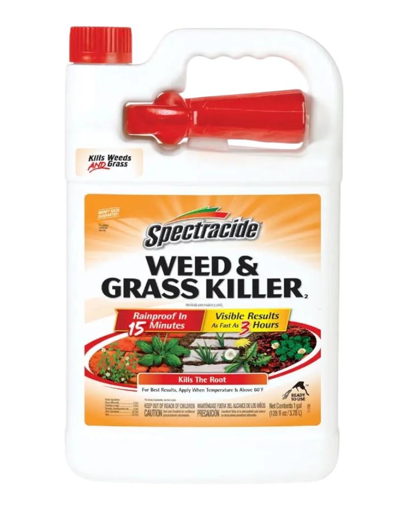 Spectracide Weed & Grass Killer 1 Gallon Ready To Use