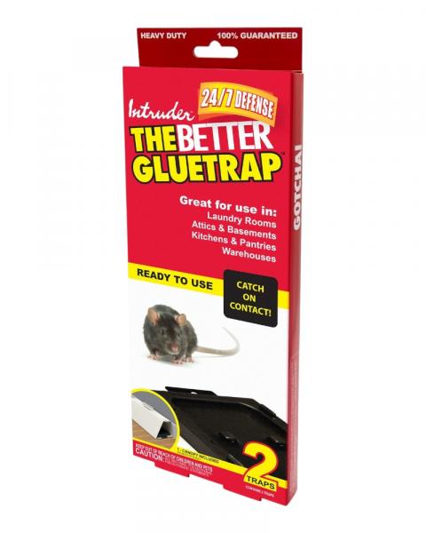Intruder Glue Trap 2pk Large