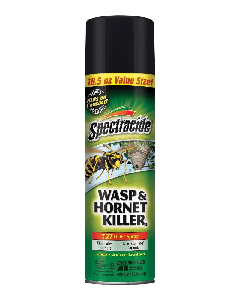 Spectracide Wasp & Hornet Killer 18.5oz Spray