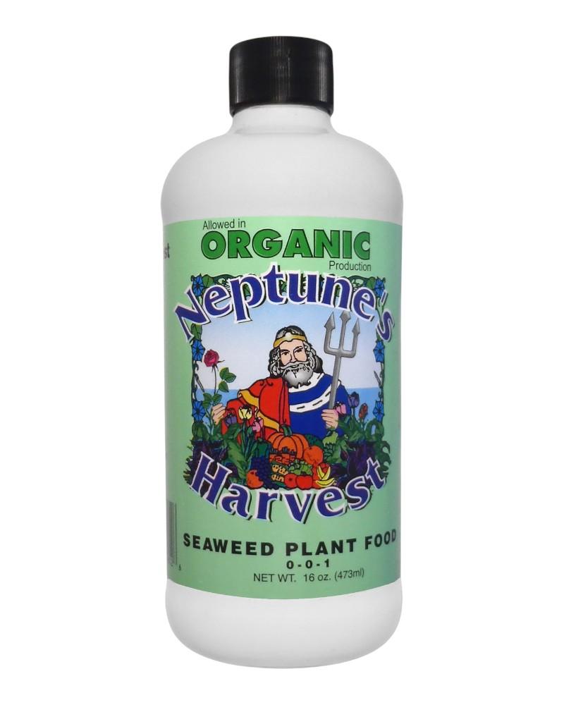 Neptune's Harvest Seaweed Plant Food 16oz