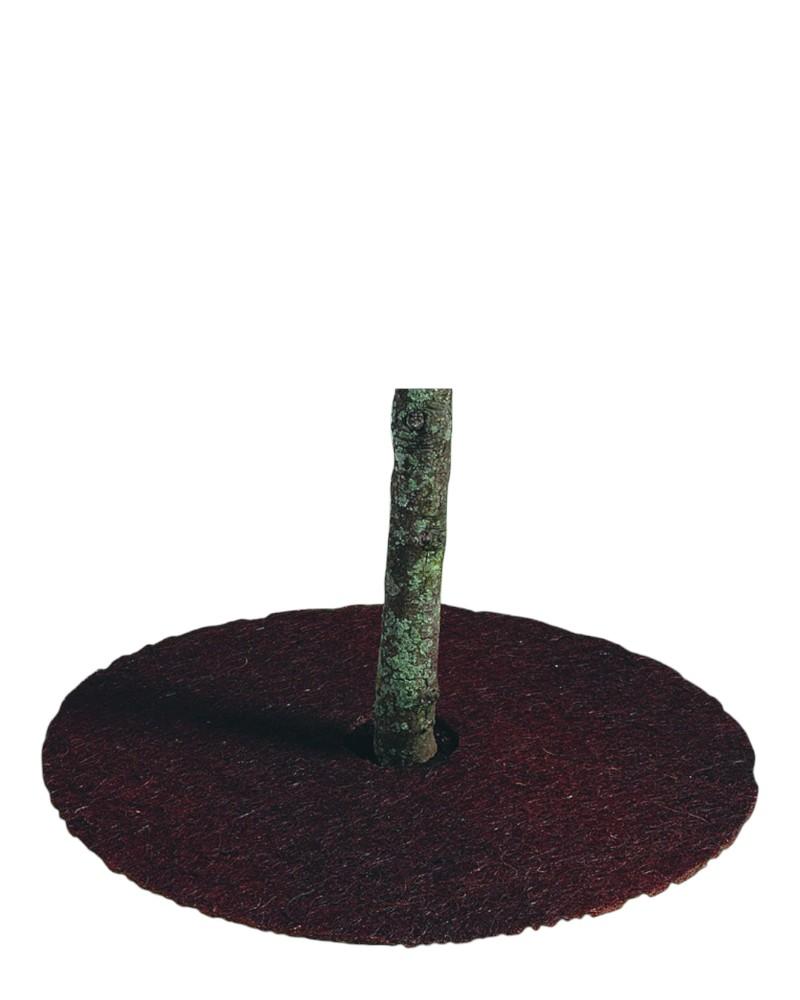 Coco Tree Ring 24"