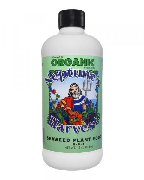 Neptune's Harvest Seaweed Plant Food 16oz