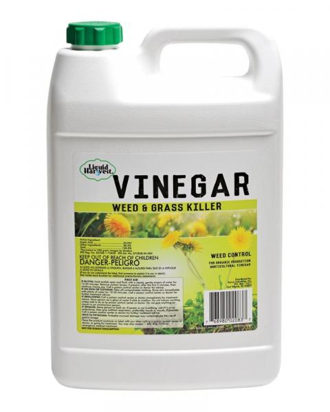 Sanco 20% Vinegar 1 Gallon Ready To Use