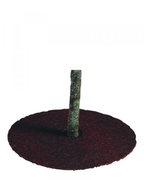 Coco Tree Ring 24"
