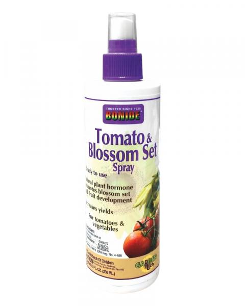 Blossom