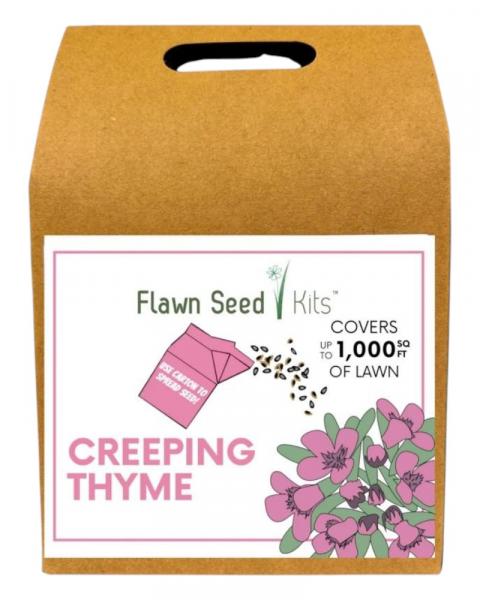Flawn Creeping Thyme Seed 1000 Sq Ft