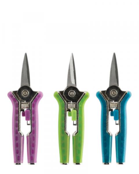 Splash Floral Shears 6"