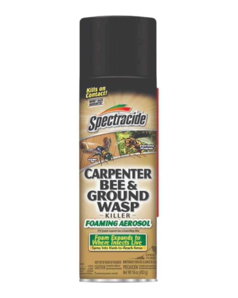 Spectracide Carpenter Bee & Yellowjacket Killer 16oz Foaming Spray