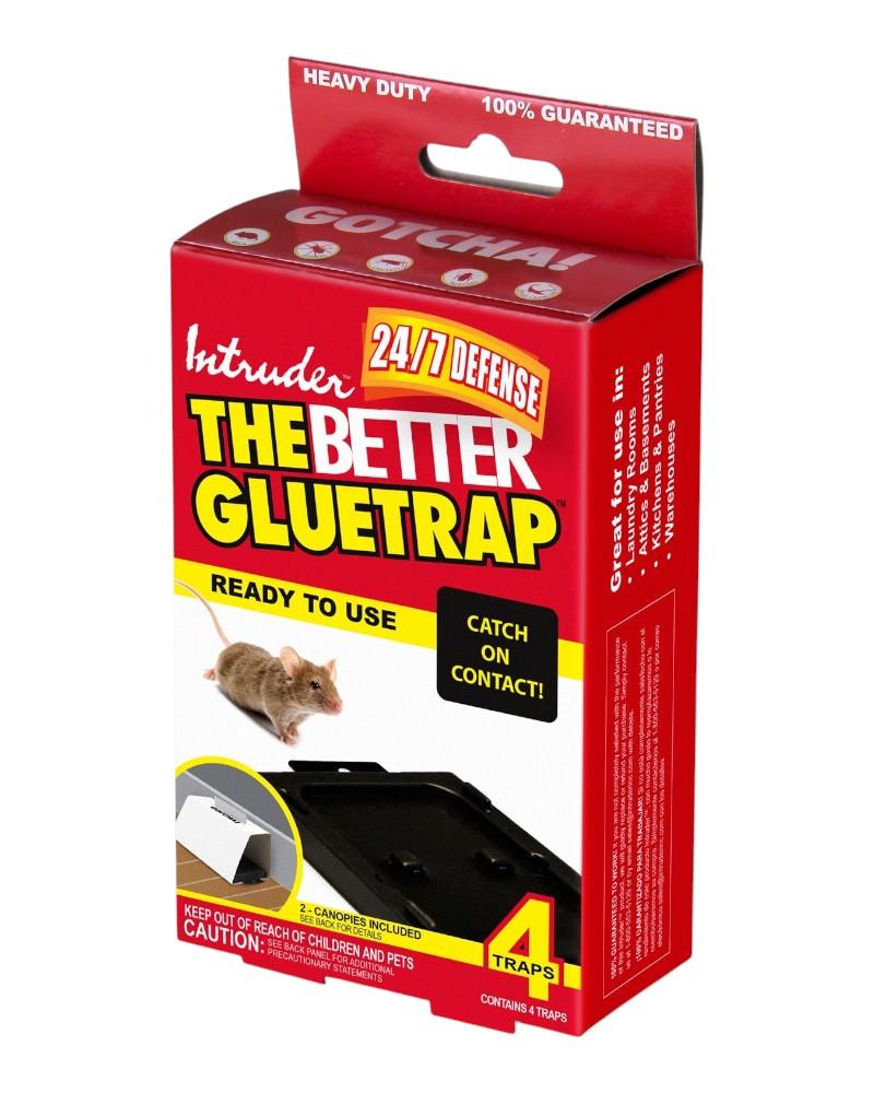 Intruder Glue Trap Small 4 Pack