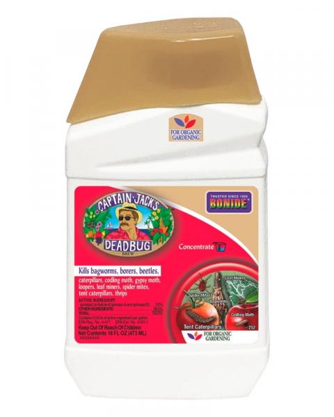 Bonide Captain Jack's Dead Bug Brew 16oz Concentrate