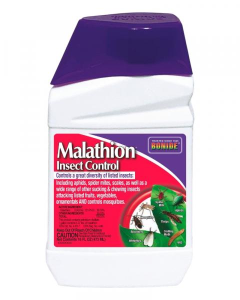 Bonide Malathion Insect Control 16oz Concentrate