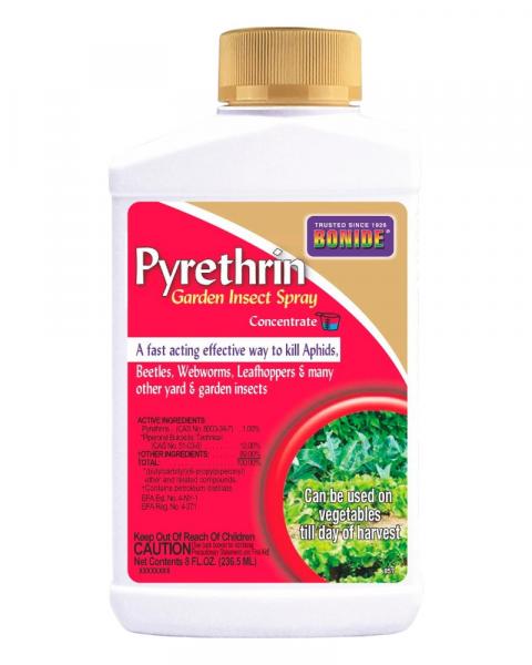 Bonide Pyrethrin Garden Insect Spray 8oz Concentrate