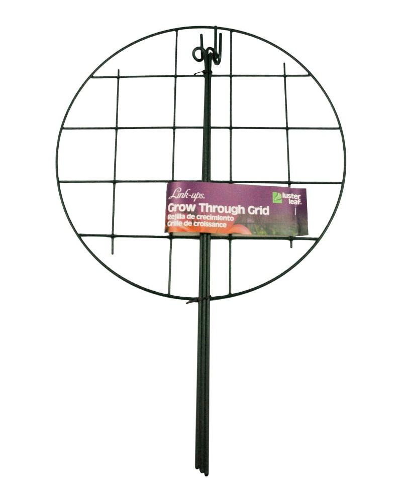 Grow Through Ring 12" x 18" High