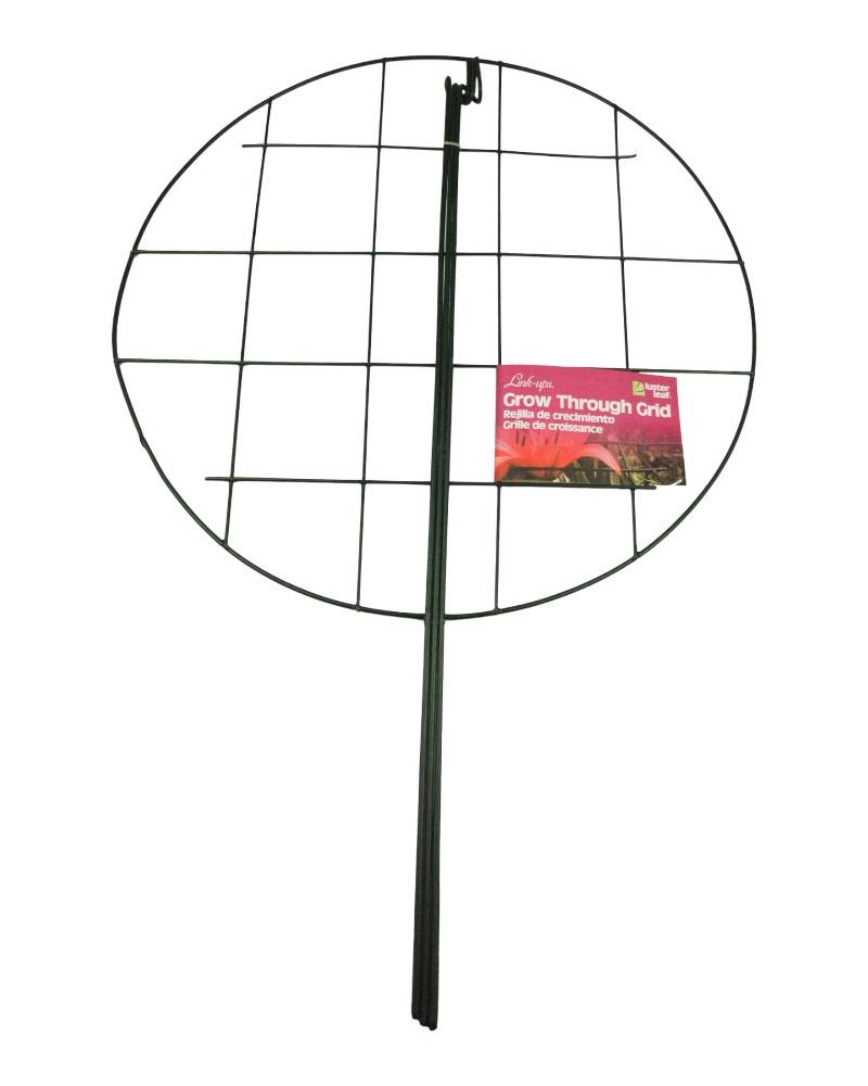Grow Through Ring 20" x 30" High