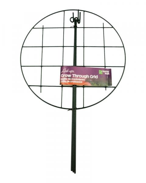 Grow Through Ring 12" x 18" High