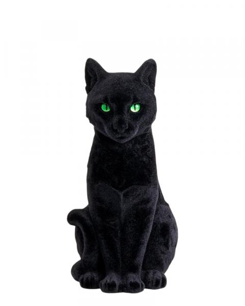 Black Cat 13"