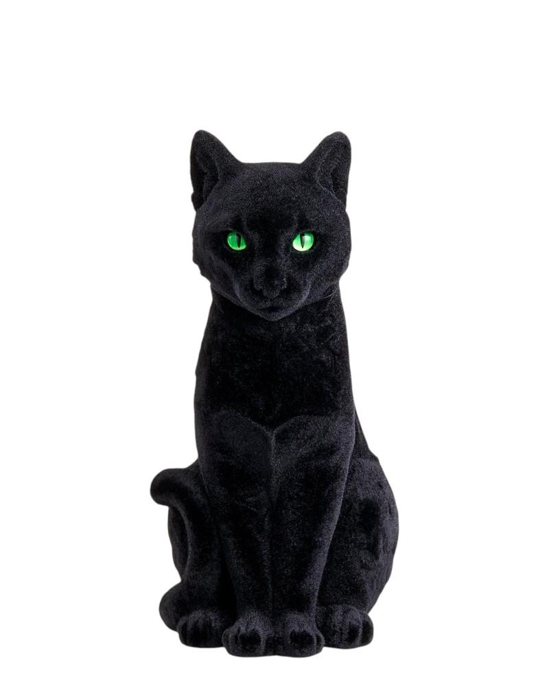 Black Cat 13"