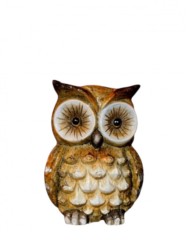 Hoots Owl 7"