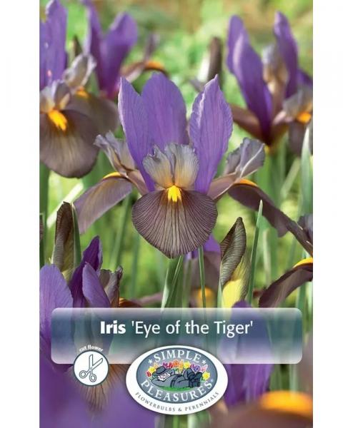 Iris Eye of the Tiger 15 bulbs/pkg