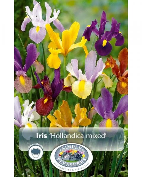 Iris Mixed 20 bulbs/pkg