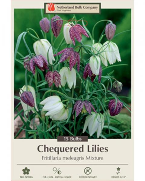 Fritillaria Meleagris Mix 15 bulbs/pkg