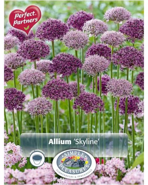 Allium Skyline Blend 10 bulbs/pkg