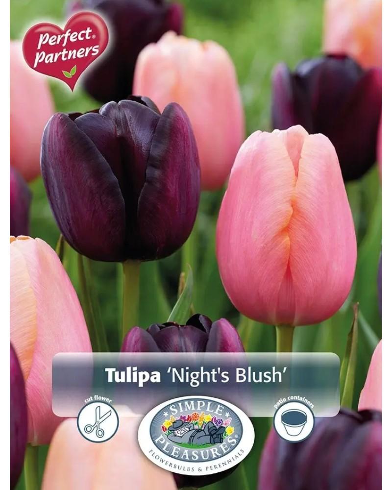 Tulip Night's Blush Blend 10 bulbs/pkg