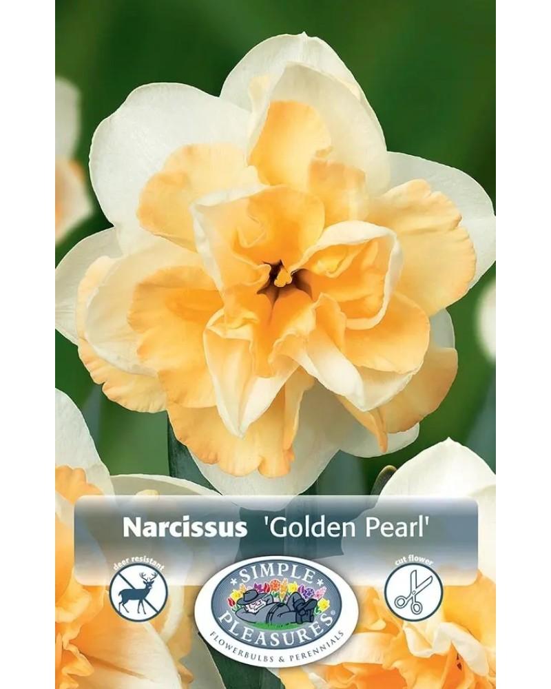 Daffodil Golden Pearl 5 bulbs/pkg