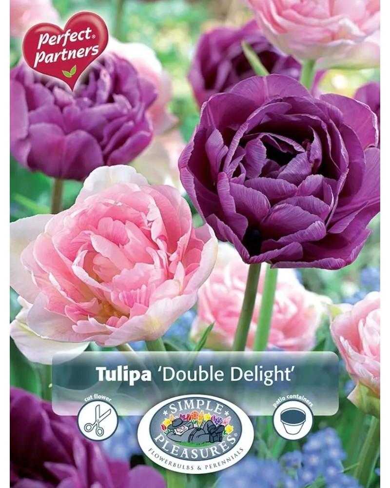Tulip Double Delight Blend 8/pkg