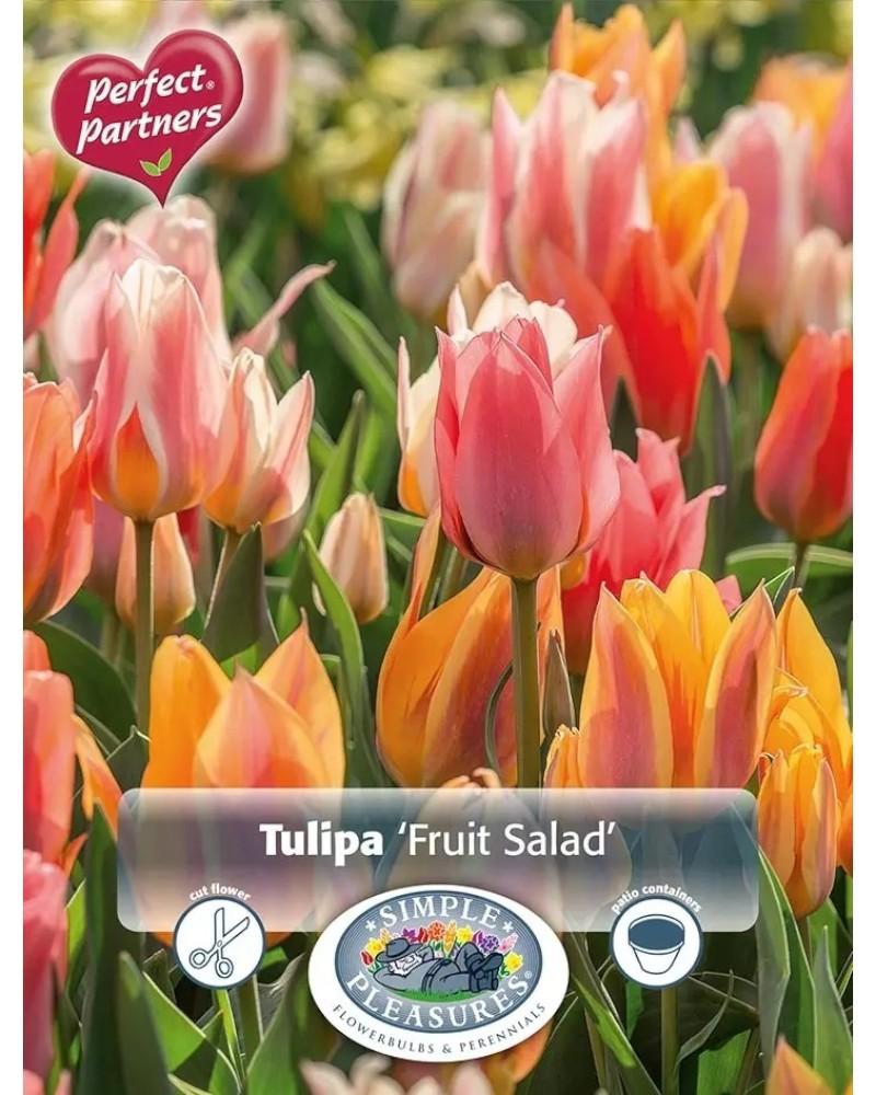 Tulip Fruit Salad Blend 10 bulbs/pkg