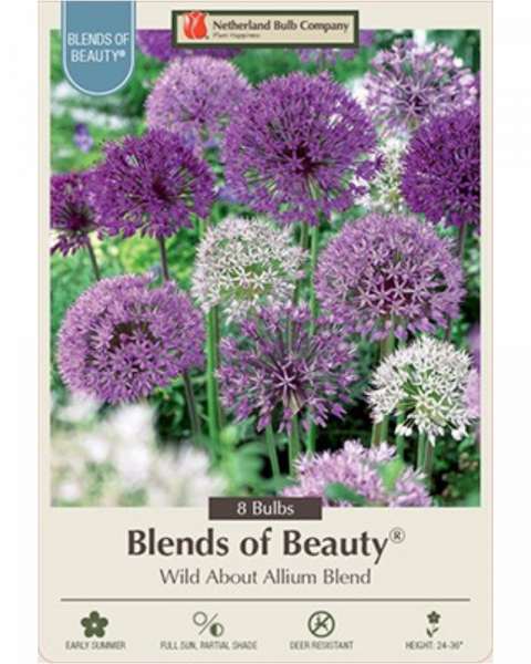 Allium Wild About Allium Blend