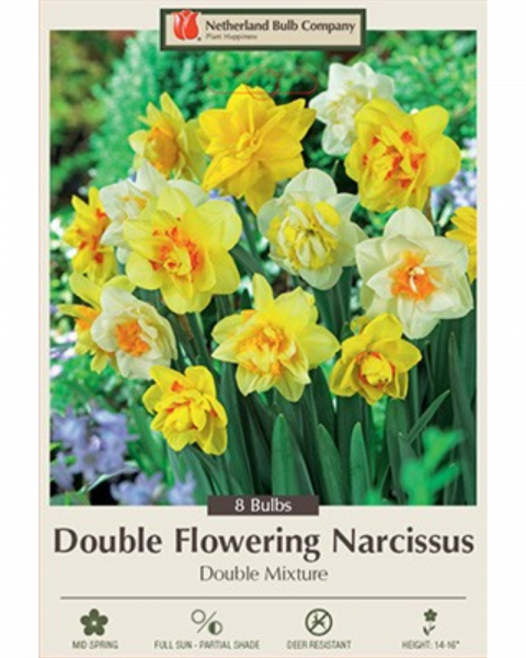 Daffodil Double Mixture 8 bulbs/pkg