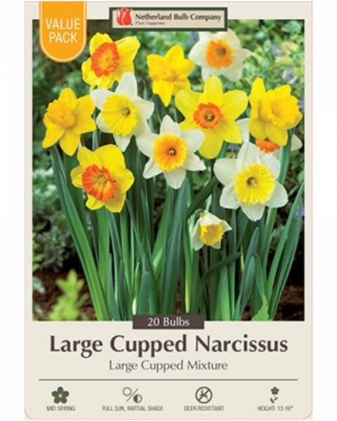 Value Pack Daffodil Mix 16 bulbs/pkg