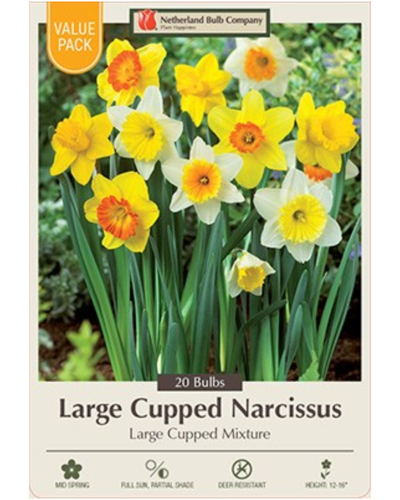Value Pack Daffodil Mix 16 bulbs/pkg
