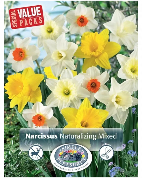 Daffodil Naturalizing Blend 15 bulbs/pkg