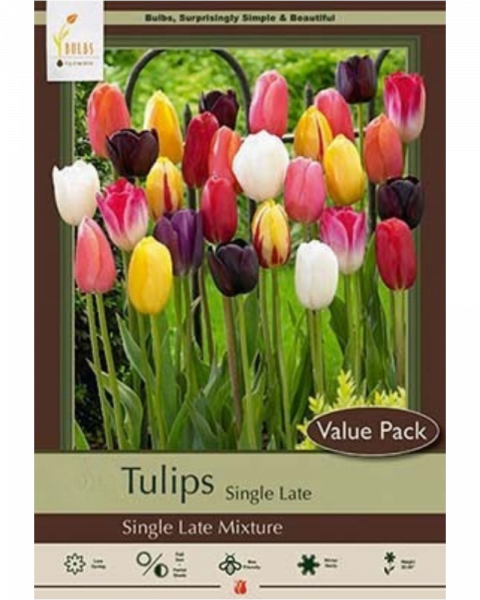 Value Pack Tulip Mix 16 bulbs/pkg