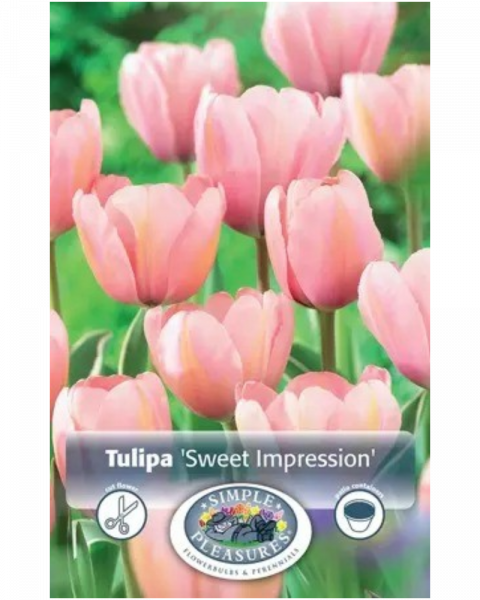 Tulip Sweet Impression 5 bulbs/pkg