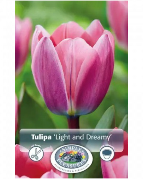 Tulip Light And Dreamy 5 bulbs/pkg