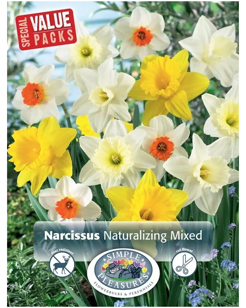 Daffodil Naturalizing Blend 15 bulbs/pkg