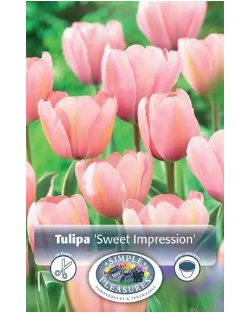 Tulip Sweet Impression 5 bulbs/pkg