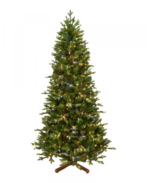 6.5' Balsam Fir With 800 Color Changing Starry LED Lights