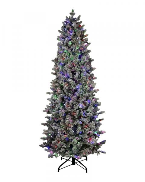 6.5' Noble Pole Flocked Fir Wtih 600 Color Changing Starry LED Lights