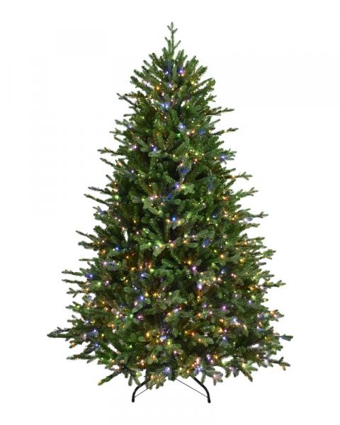 6.5' Royal Northern Fir With 1200 Color Changing Starry LED Lights