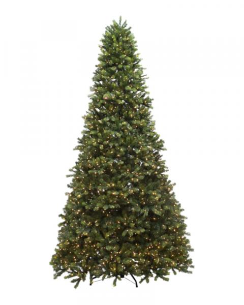 10' Laguardia fir With 2300 Color Changing LED Lights