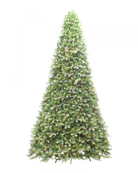 12' Laguardia Fir With 2400 Color Changing LED Lights