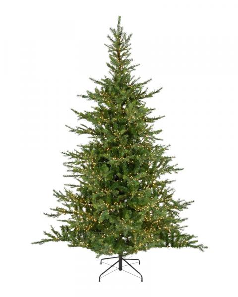 7.5' Grandis Fir With 650 Warm White Micro LED Lights