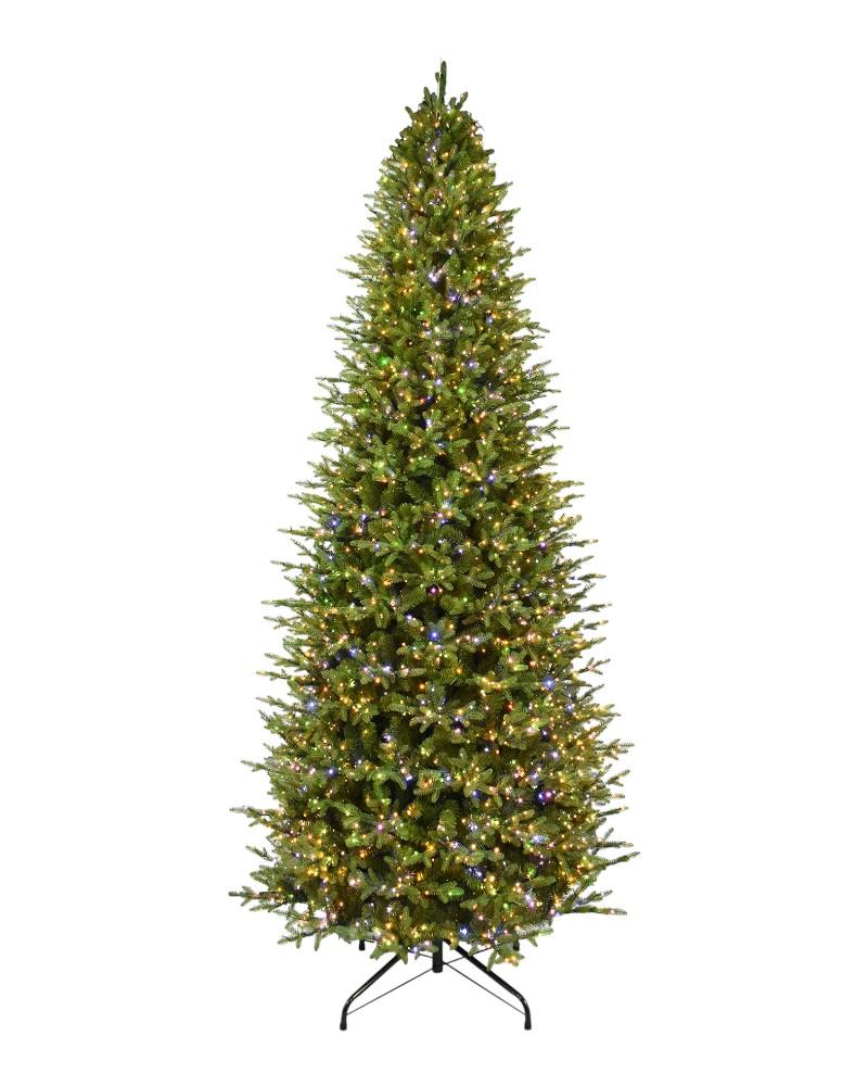11' Rocky Mountain Fir With 3650 Color Changning Starry LED Lights